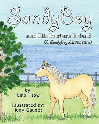 SandyBoy and His Pasture Friend 1
