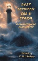 C H Lindsay, Maya Bohnhoff, Kevin Wasden - Lost Between Sea & Storm, Häftad