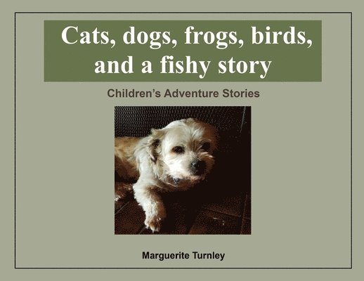 Cats, dogs, frogs, birds, and a fishy story 1