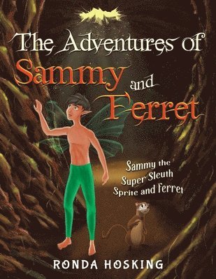 bokomslag Adventures of Sammy and Ferret