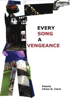 Every Song a Vengeance 1