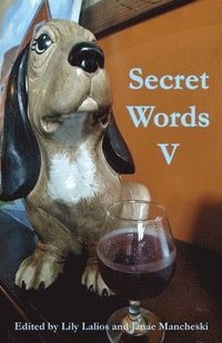 bokomslag Secret Words Volume Five