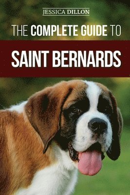 Jessica Dillon - Complete Guide to Saint Bernards, Häftad