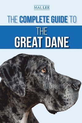 Complete Guide to the Great Dane