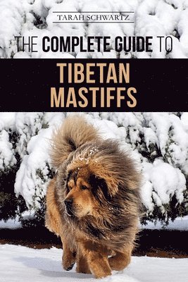 Tarah Schwartz - Complete Guide to the Tibetan Mastiff, Häftad