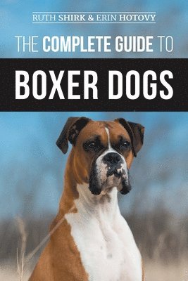 The Complete Guide to Boxer Dogs 1