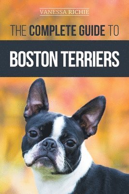 Vanessa Richie - Complete Guide to Boston Terriers, Häftad