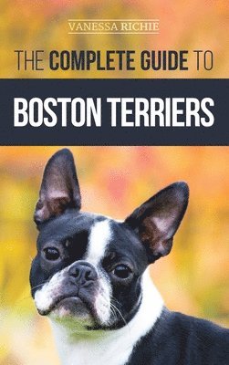 bokomslag The Complete Guide to Boston Terriers