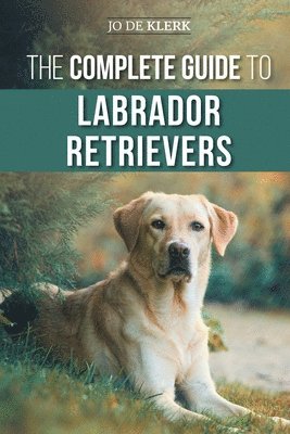 Complete Guide to Labrador Retrievers
