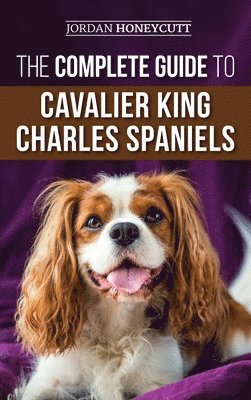 bokomslag Complete Guide to Cavalier King Charles Spaniels