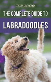 bokomslag The Complete Guide to Labradoodles