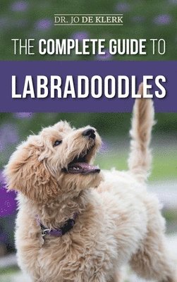 The Complete Guide to Labradoodles 1