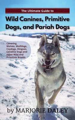 The Ultimate Guide to Wild Canines, Primitive Dogs, and Pariah Dogs 1