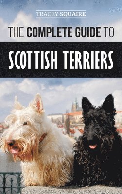 bokomslag Complete Guide to Scottish Terriers