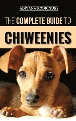 The Complete Guide to Chiweenies 1