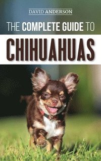 bokomslag Complete Guide to Chihuahuas
