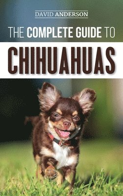 bokomslag Complete Guide to Chihuahuas