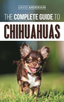 bokomslag The Complete Guide to Chihuahuas