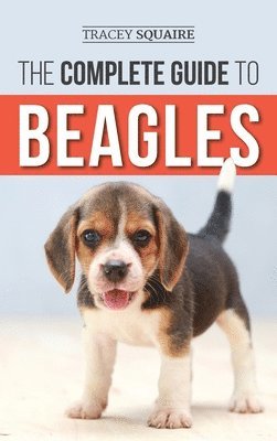 Tracey Squaire - Complete Guide to Beagles, Inbunden
