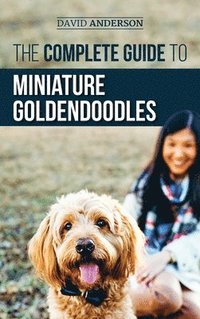 bokomslag Complete Guide to Miniature Goldendoodles