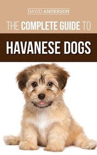 bokomslag Complete Guide to Havanese Dogs