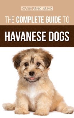 bokomslag Complete Guide to Havanese Dogs