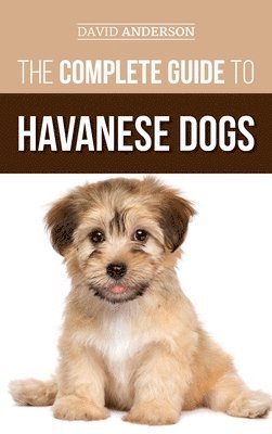 bokomslag The Complete Guide to Havanese Dogs