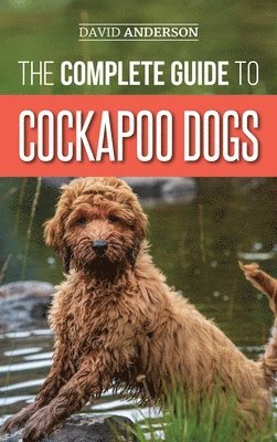 bokomslag The Complete Guide to Cockapoo Dogs