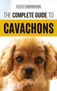 bokomslag The Complete Guide to Cavachons