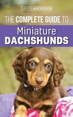 bokomslag Complete Guide to Miniature Dachshunds