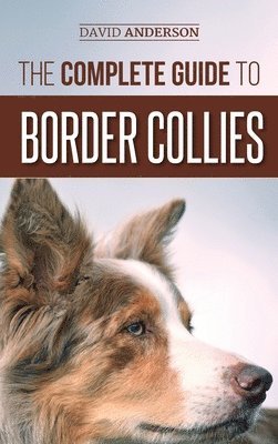 bokomslag The Complete Guide to Border Collies