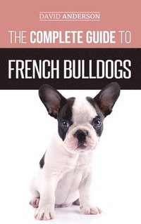 bokomslag Complete Guide to French Bulldogs