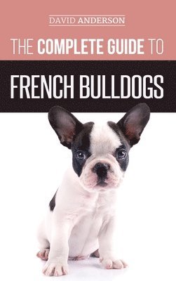 bokomslag Complete Guide to French Bulldogs
