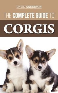 bokomslag The Complete Guide to Corgis