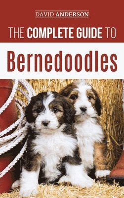 David Anderson - Complete Guide to Bernedoodles, Inbunden