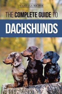 bokomslag Complete Guide to Dachshunds