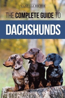 bokomslag Complete Guide to Dachshunds