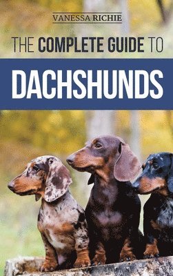 bokomslag Complete Guide to Dachshunds