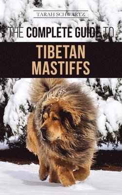Tarah Schwartz - Complete Guide to the Tibetan Mastiff, Inbunden