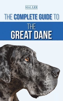 bokomslag Complete Guide to the Great Dane