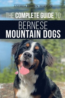 Complete Guide to Bernese Mountain Dogs 1