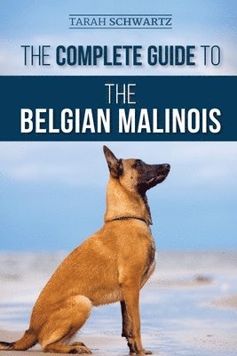 Tarah Schwartz - Complete Guide to the Belgian Malinois, Häftad