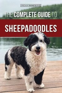bokomslag The Complete Guide to Sheepadoodles