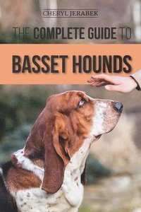 bokomslag Complete Guide to Basset Hounds