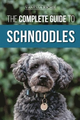 The Complete Guide to Schnoodles 1