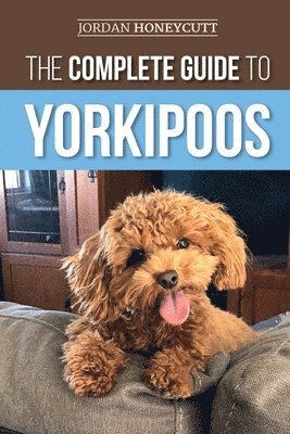 Jordan Honeycutt - Complete Guide to Yorkipoos, Häftad