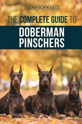 Tarah Schwartz - Complete Guide to Doberman Pinschers, Häftad