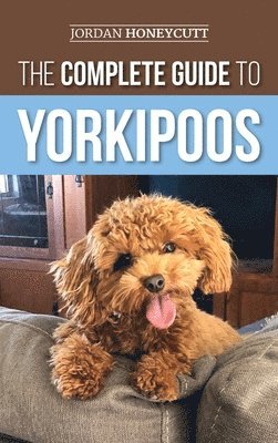 Jordan Honeycutt - Complete Guide to Yorkipoos, Inbunden