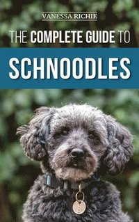bokomslag The Complete Guide to Schnoodles