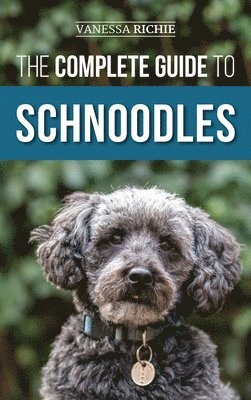 The Complete Guide to Schnoodles 1